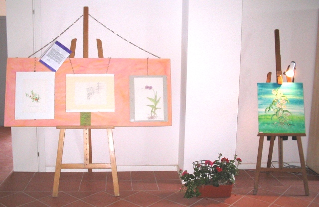 Le foto del parco in festa